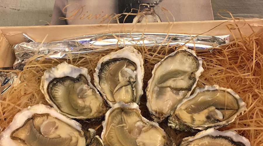 Ostriche fresche